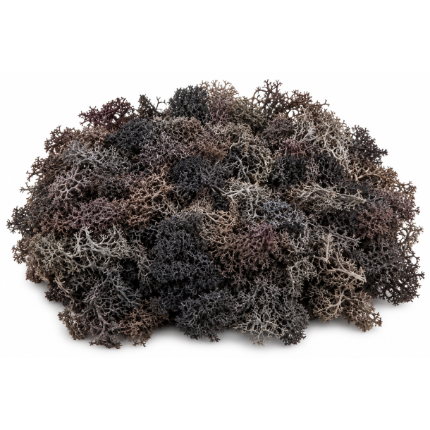 Finlandsmos sort 500 gr
