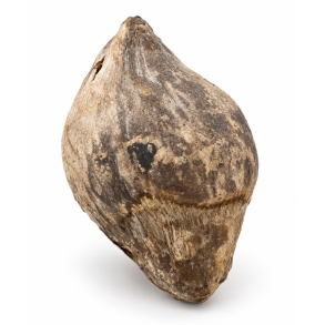Kokosn�d