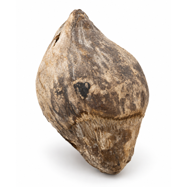 Kokosn�d