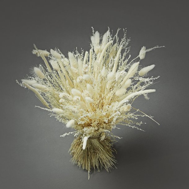 Dried Flower Bqt white small