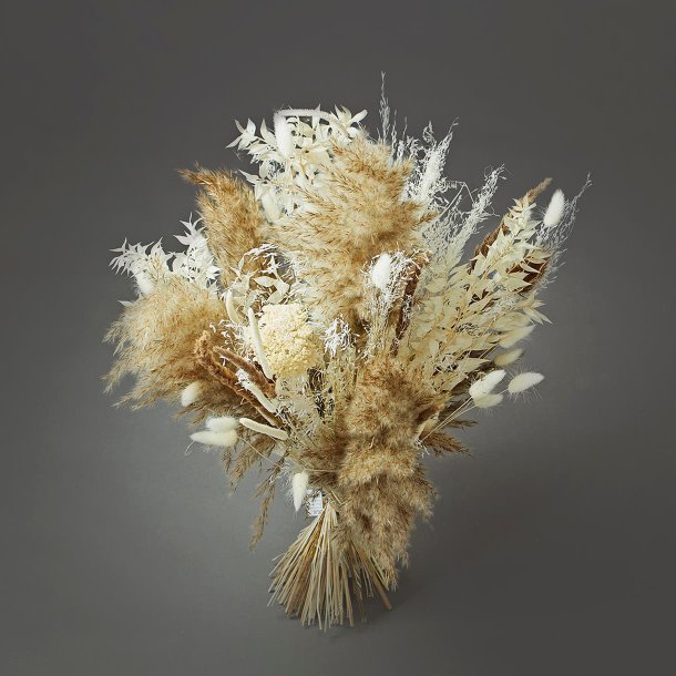 Dried Flower Nature 