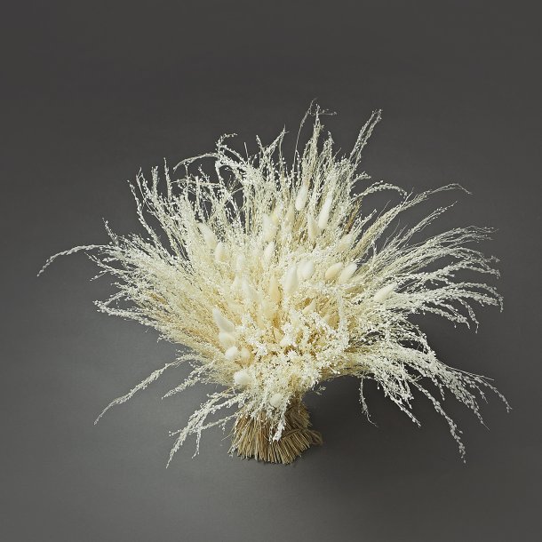 Dried Flower white 