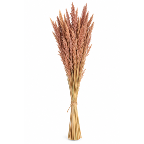 Christina gr�s 500 gr.