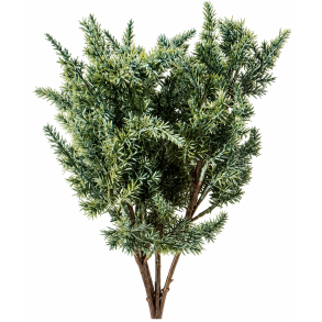 Eneb�rgren 