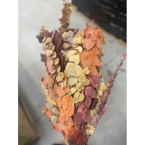 Eucalyptus herbst mix 300 gr