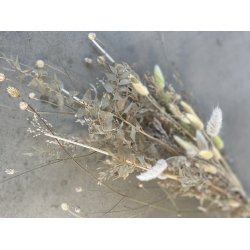 DIY large bqt sahara tones