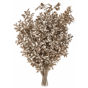 Ruskus Platin 400 gr. 