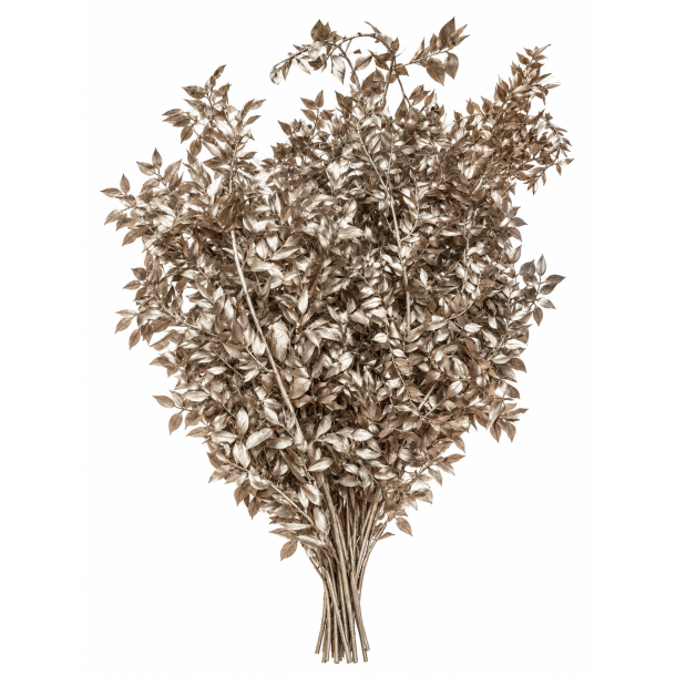 Ruskus Platin 400 gr. 