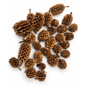 Casurina 2 kg Natur