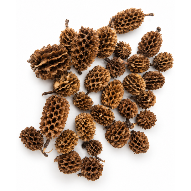 Casurina 2 kg Natur