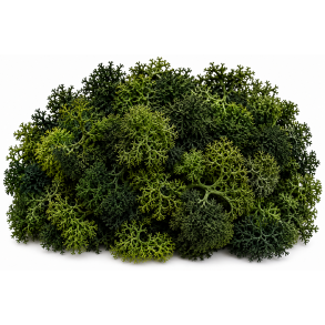 Finlandsmos gr�n 500 gr