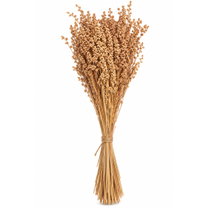 Briza Media Natur, 100 gr. 