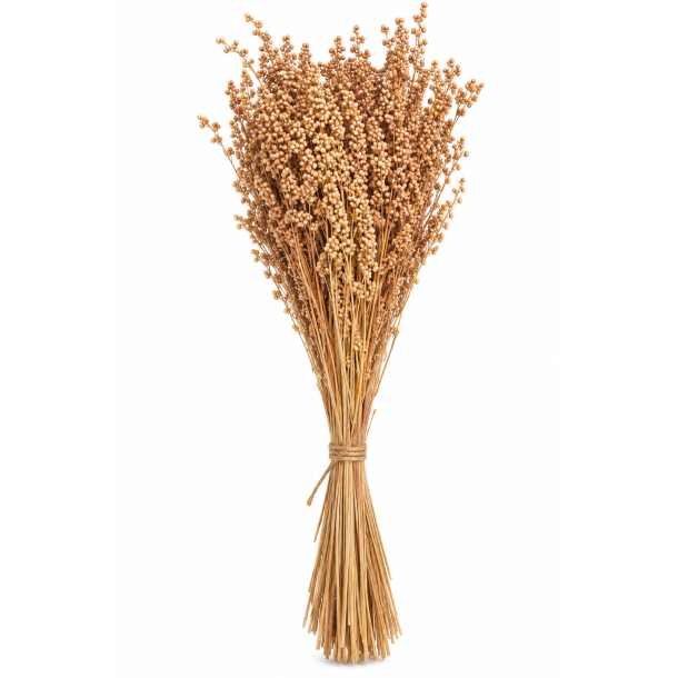 Briza Media Natur, 100 gr. 