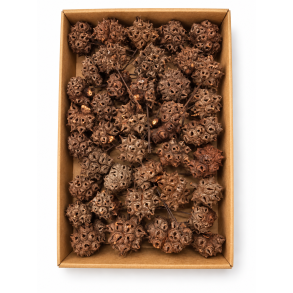 Spidergum knobs p� tr�d natur 50 stk.