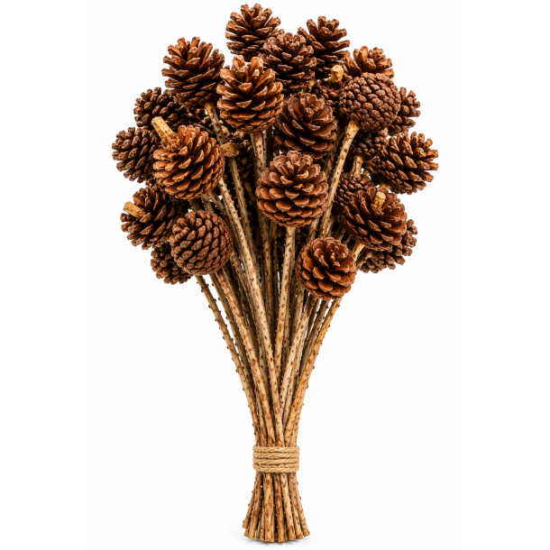 Pine cone flower w. stem 25 stk