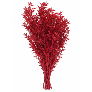 Ruscus r�d 400 gr