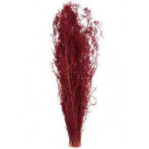 Brizzone bordeaux 250 gr.