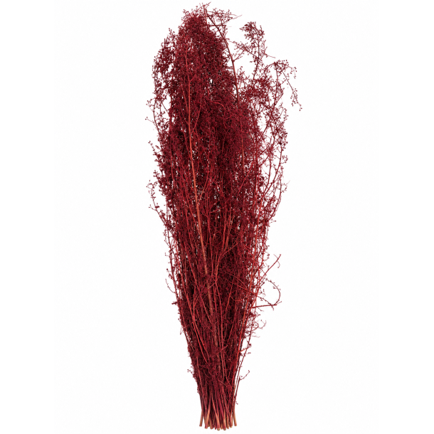 Brizzone bordeaux 250 gr.