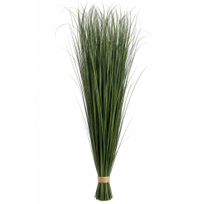 Bjerggr�s gr�n 1 kg. 