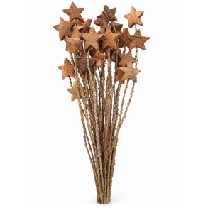 Coco star p� stilk 36 stk