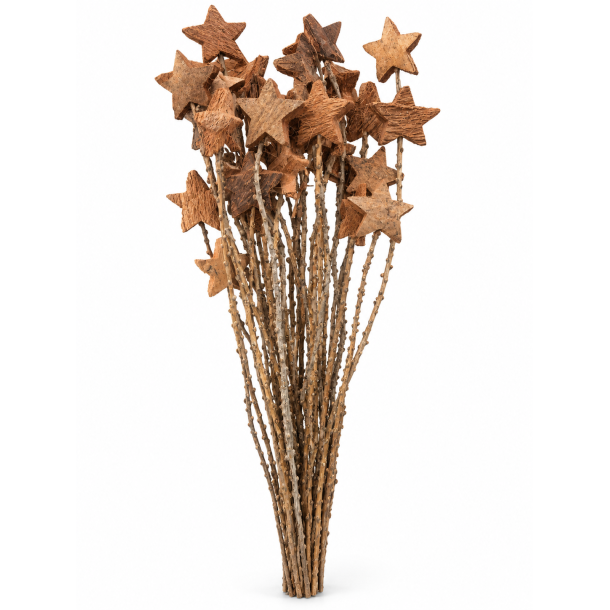 Coco star p� stilk 36 stk