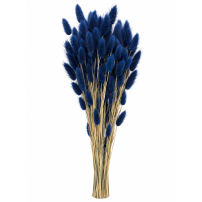 Lagurus Midtnatbl�, 100 gr, 