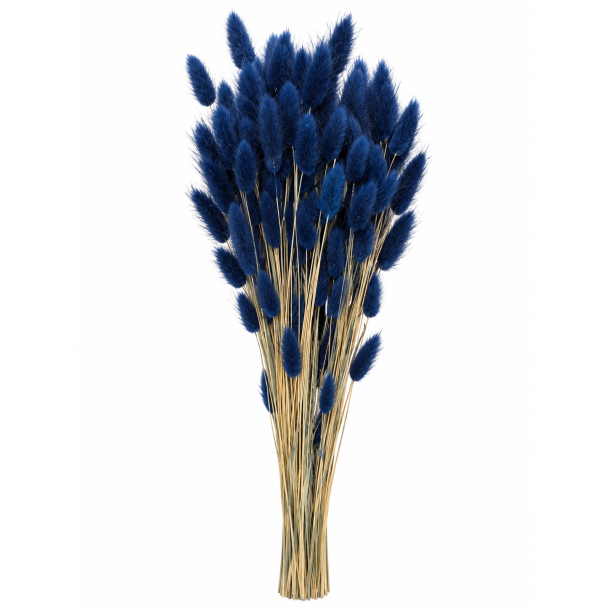 Lagurus Midtnatbl�, 100 gr, 