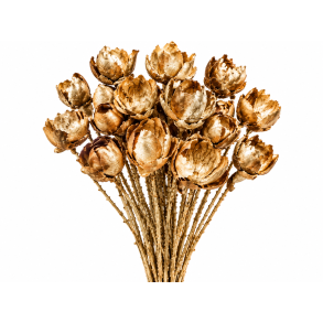Palm cup on twig gold 25 stk.