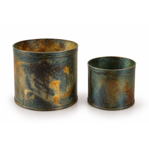 Norman skjuler s�t/2 aged green