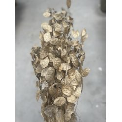 Lunaria Schlamm 150 gr