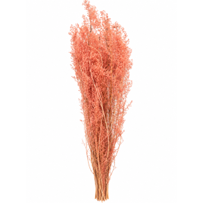 Brizzone Antik Rosa, 300 gr. 