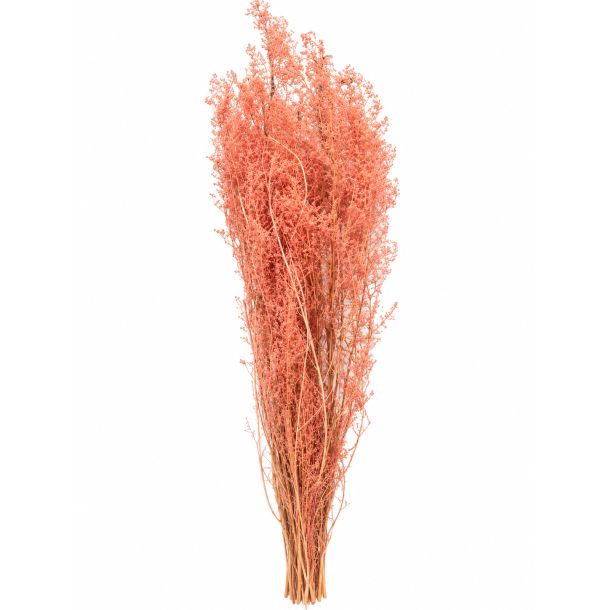 Brizzone Antik Rosa, 300 gr. 