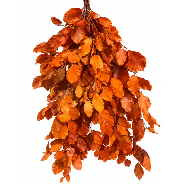 B�geblade orange 150 gr.