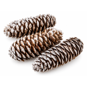 Rye Cone Platin Wash 35 stk