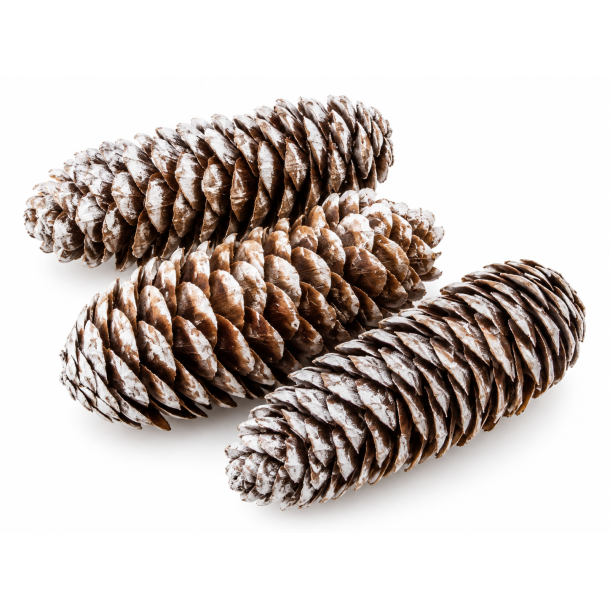 Rye Cone Platin Wash 35 stk