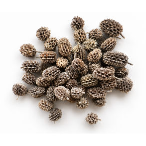 Casurina Kogler Frosted Green 2 kg.