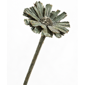 Rosette Comp. Antrazit 8-9 cm, 13 stk