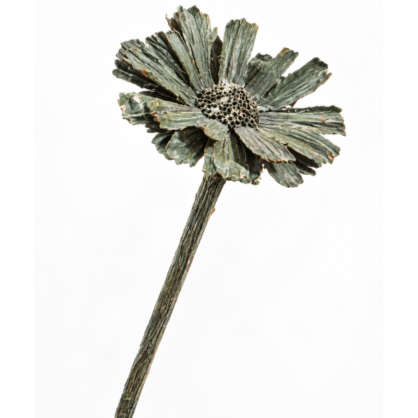 Rosette Comp. Antrazit 8-9 cm, 13 stk
