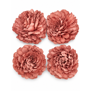 Shola Zinnia 20 cm rosa 4 stk