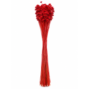 Hill flower 100 gr.