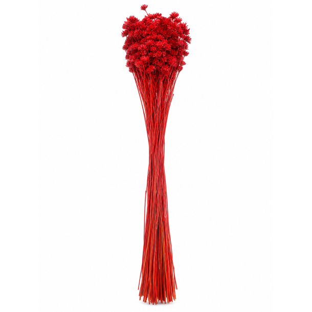 Hill flower 100 gr.