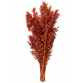 Ruskus Rust 400 gr.