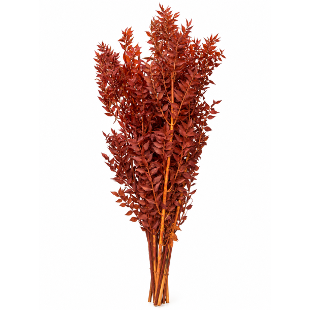 Ruskus Rust 400 gr.