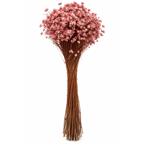 Glixia smablomstret 100 gr.