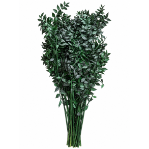 Ruskus M�rke gr�n 400 gr. 
