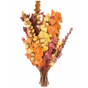 Eucalyptus herbst mix 300 gr