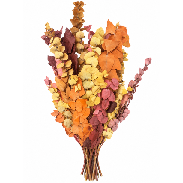 Eucalyptus herbst mix 300 gr