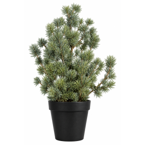 Mini ceder tree 28 cm