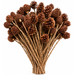 Pine cone on twig 100 stk.