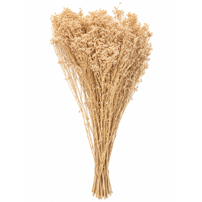 Broom Broom Sahara 150 gr. 